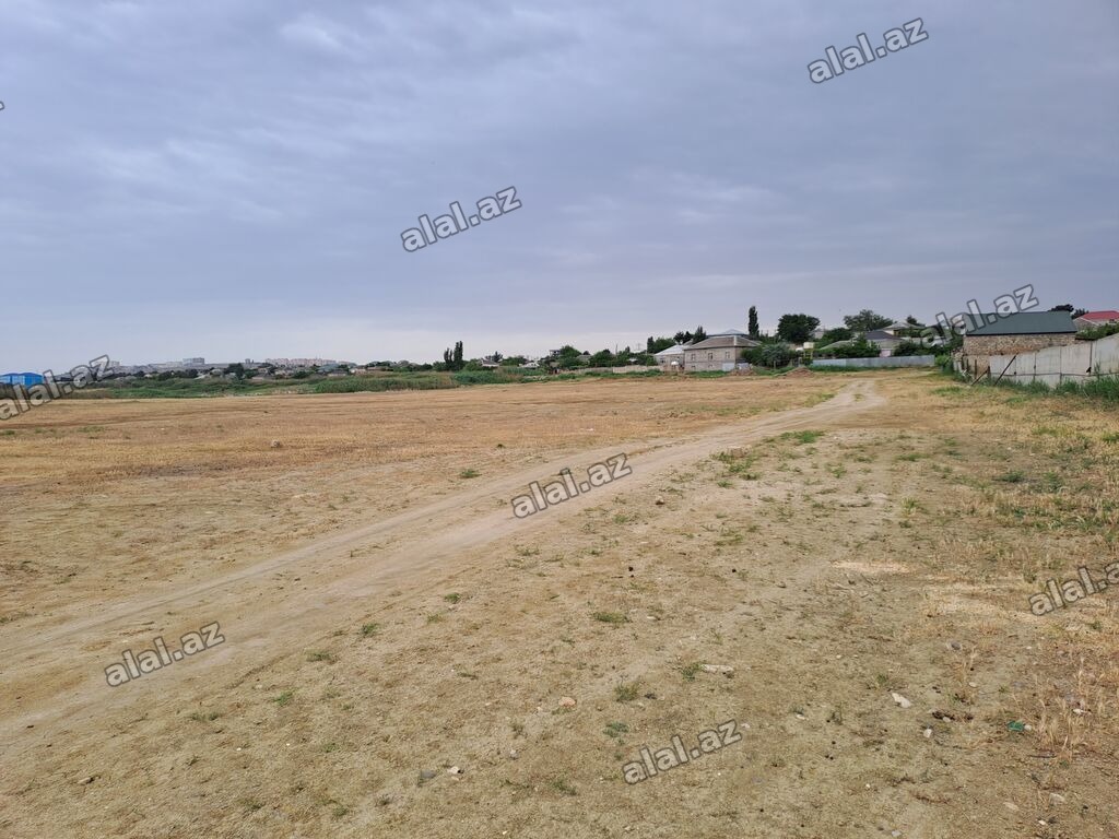 100 sot, Makler, Kupça (Çıxarış)