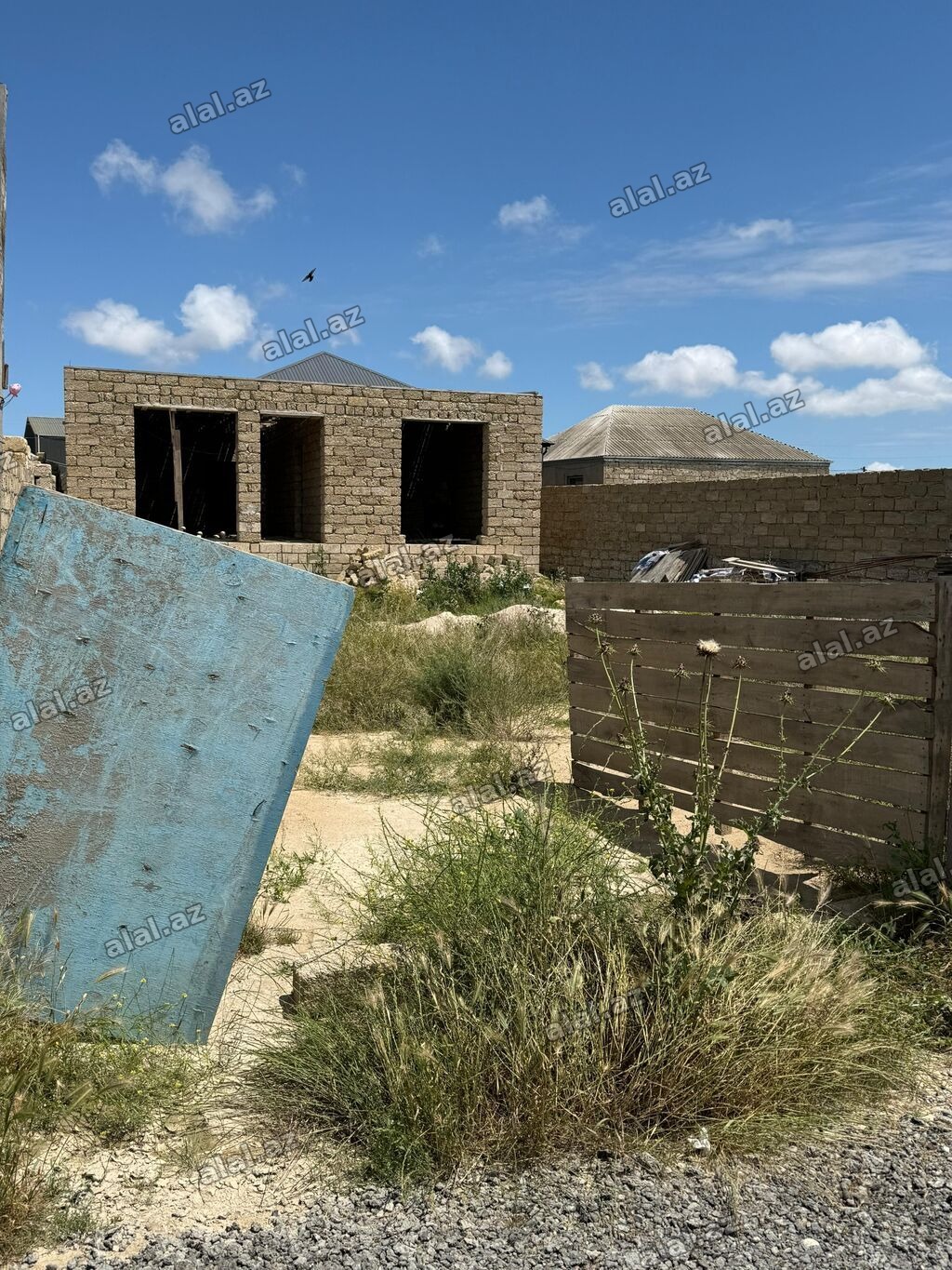 Tikinti