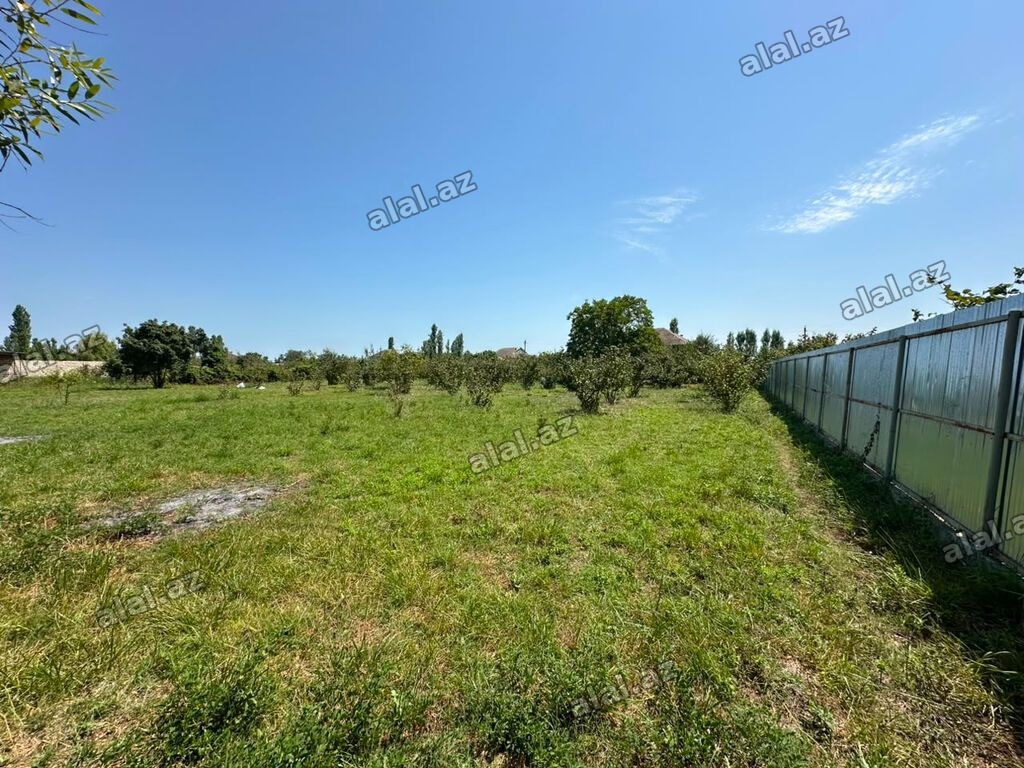 20 sot, Tikinti, Mülkiyyətçi, Kupça (Çıxarış)