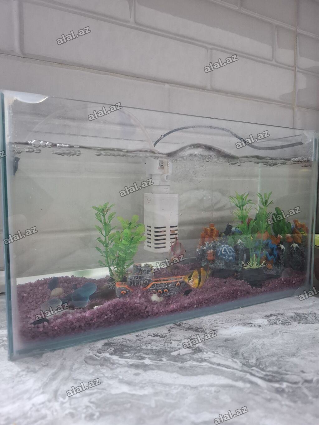 Şüşə akvarium dəsti - Şəffaf şüşədən akvarium (kompakt ölçülü