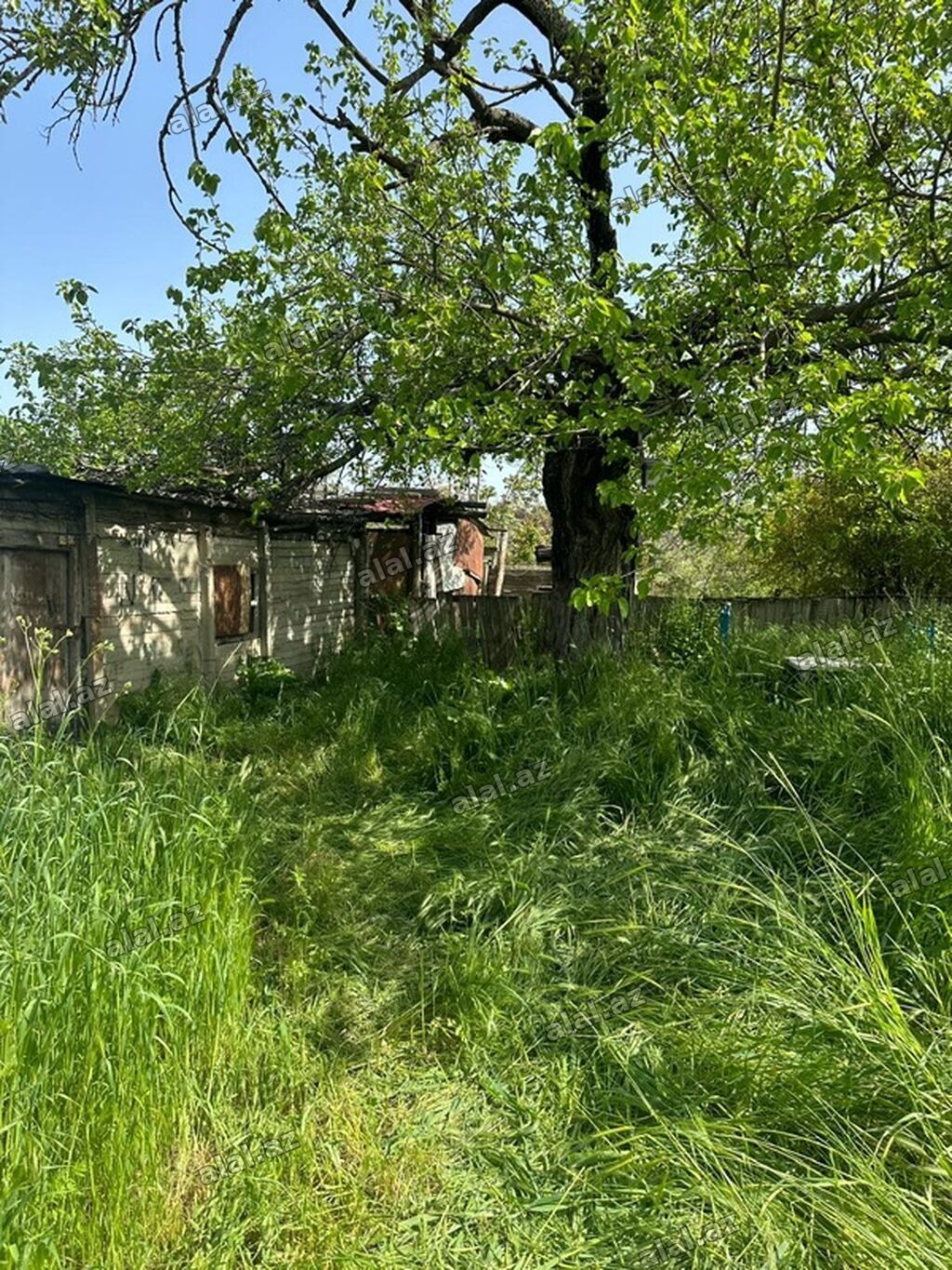 2 otaqlı, 50 kv. m, Kredit yoxdur, Orta təmir