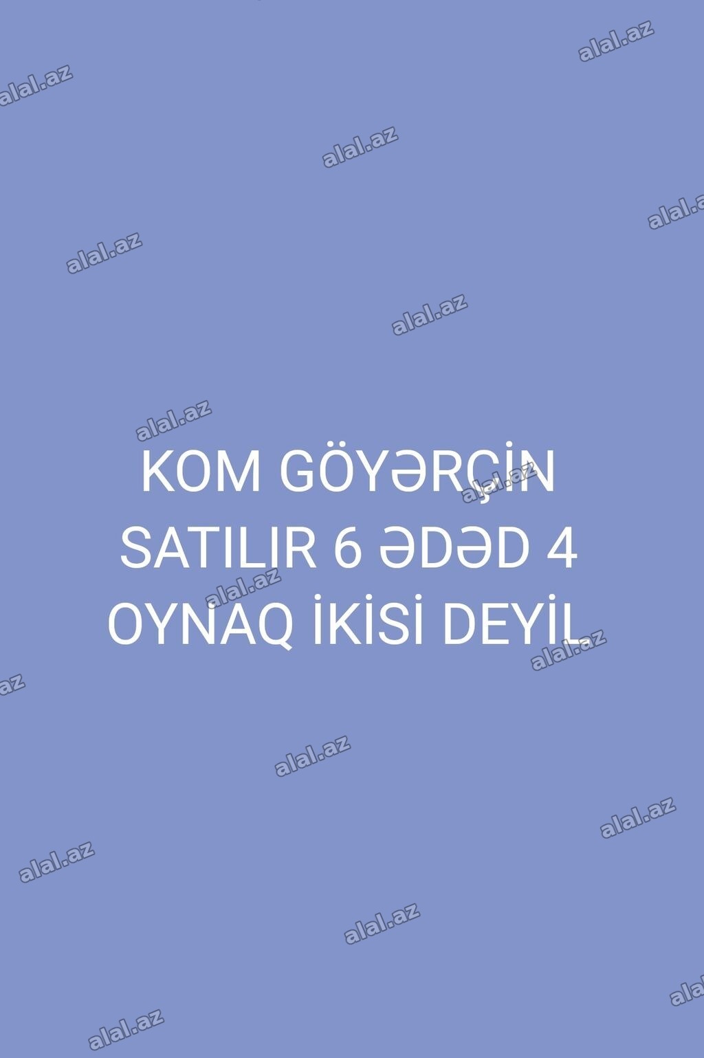 Kom göyərçin dəsti - Ümumi say: 6 ədəd - Xüsusiyyət: 4-ü oynaq, 2-si