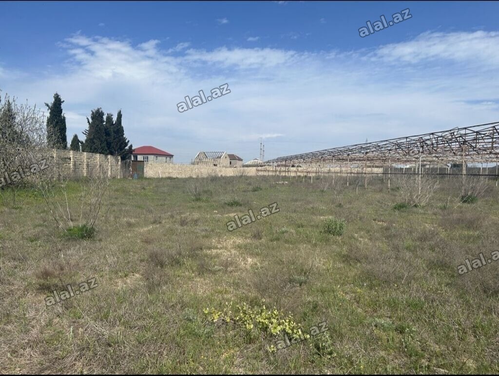 65 sot, Tikinti, Mülkiyyətçi, Kupça (Çıxarış)