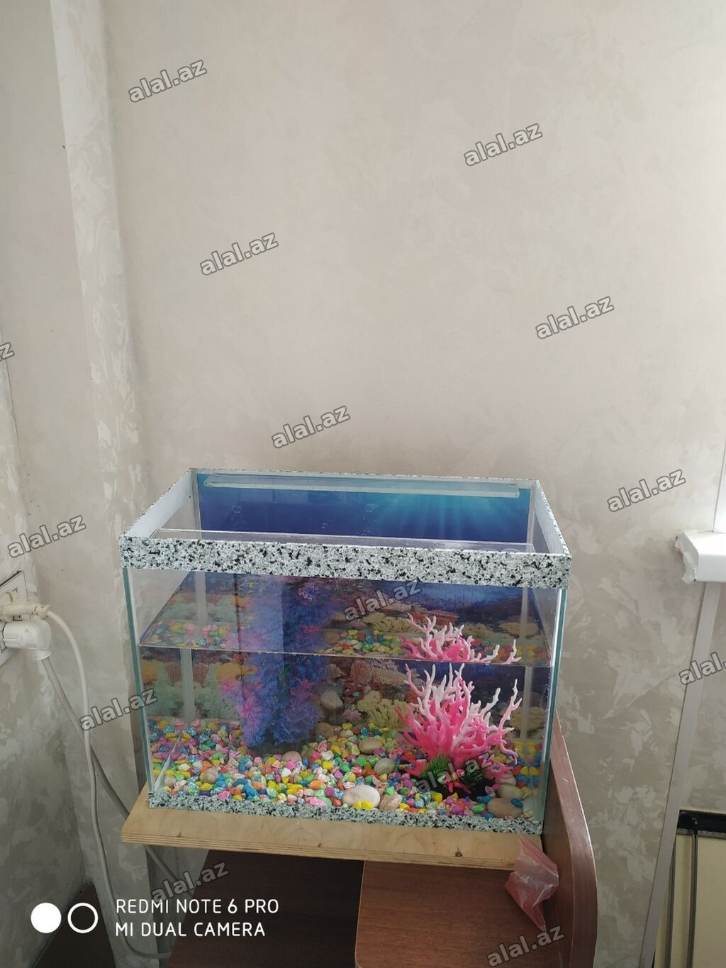 Dördbucaq akvarium, Balıqlarla birlikdə, 20 l, Ünvandan götürmə