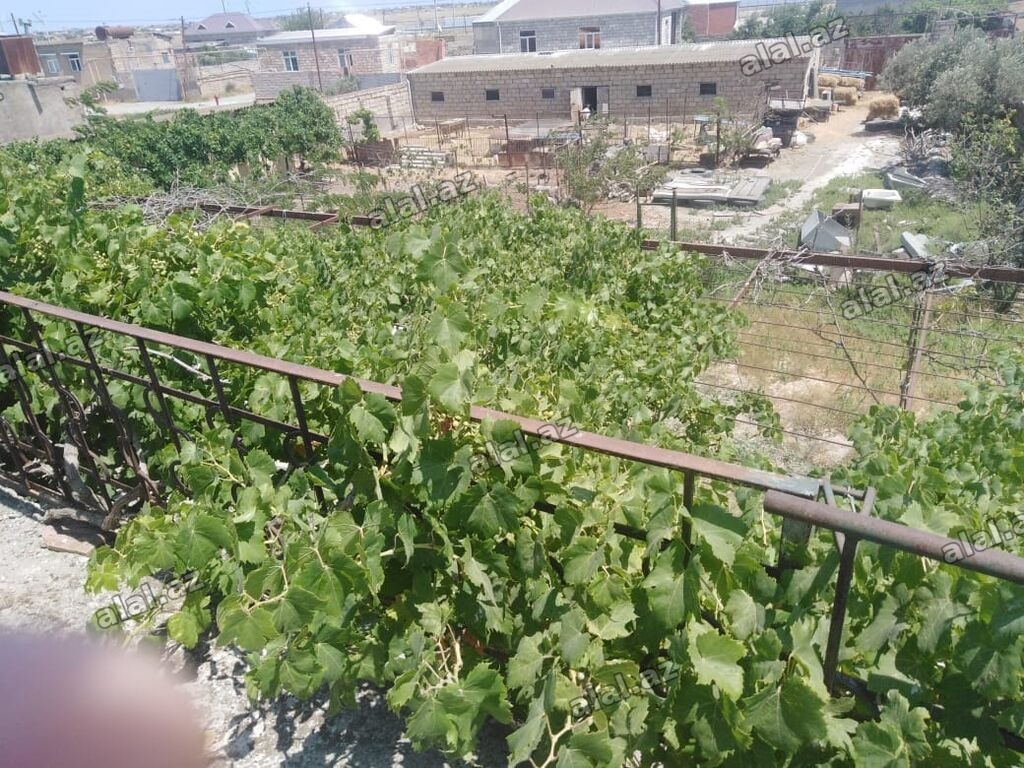 Digah, 220 kv. m, 4 otaqlı, Hovuzsuz