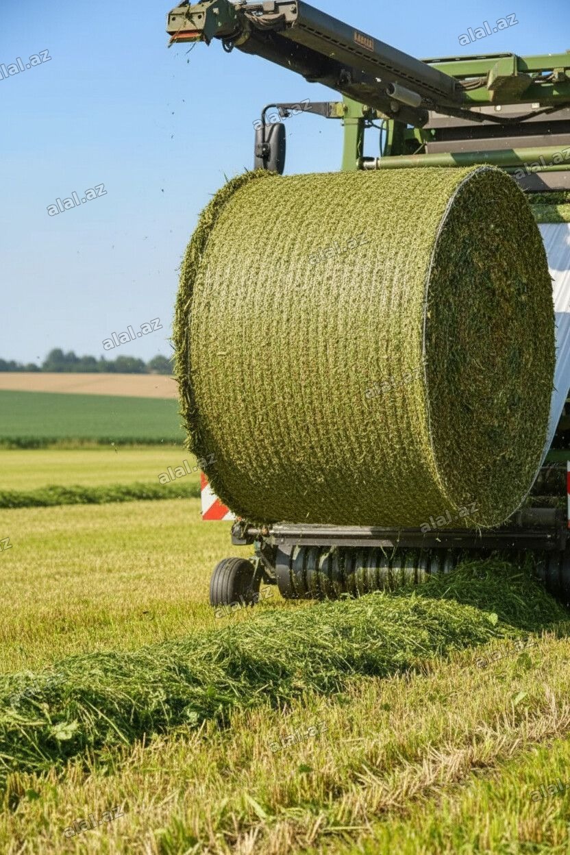 **🌽 YENİ MÖVSÜM – YENİ MƏHSUL! 🌽** Keyfiyyətli qarğıdalı silosu