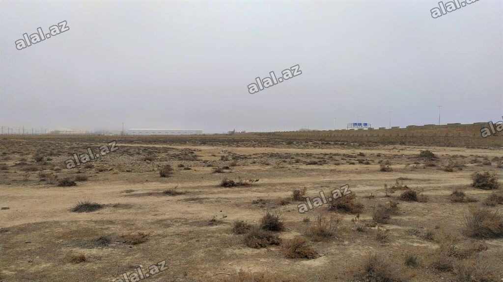 95 sot, Kənd təsərrüfatı, Makler, Kupça (Çıxarış)