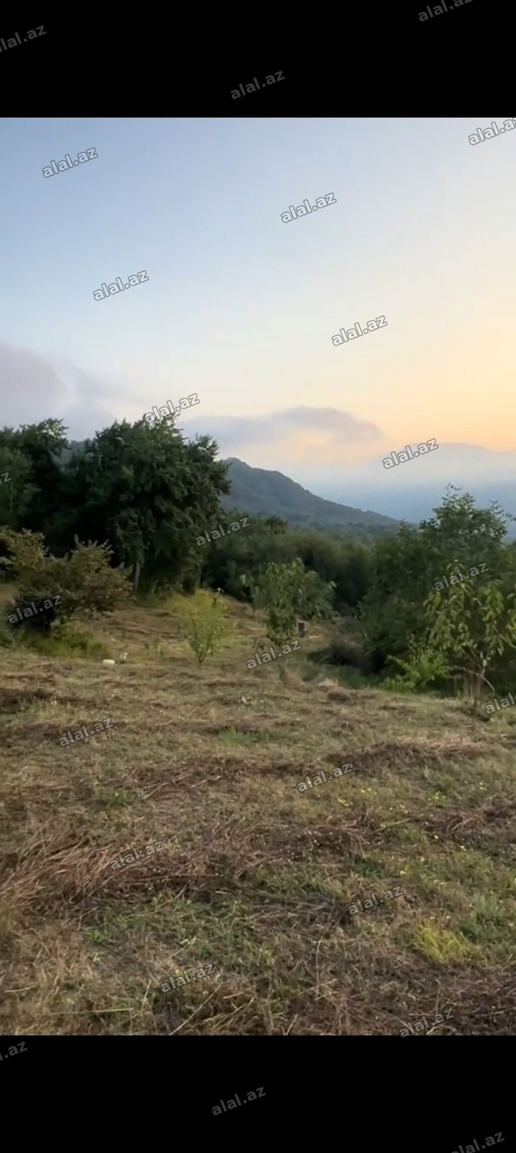 68 sot, Kənd təsərrüfatı, Mülkiyyətçi, Kupça (Çıxarış)
