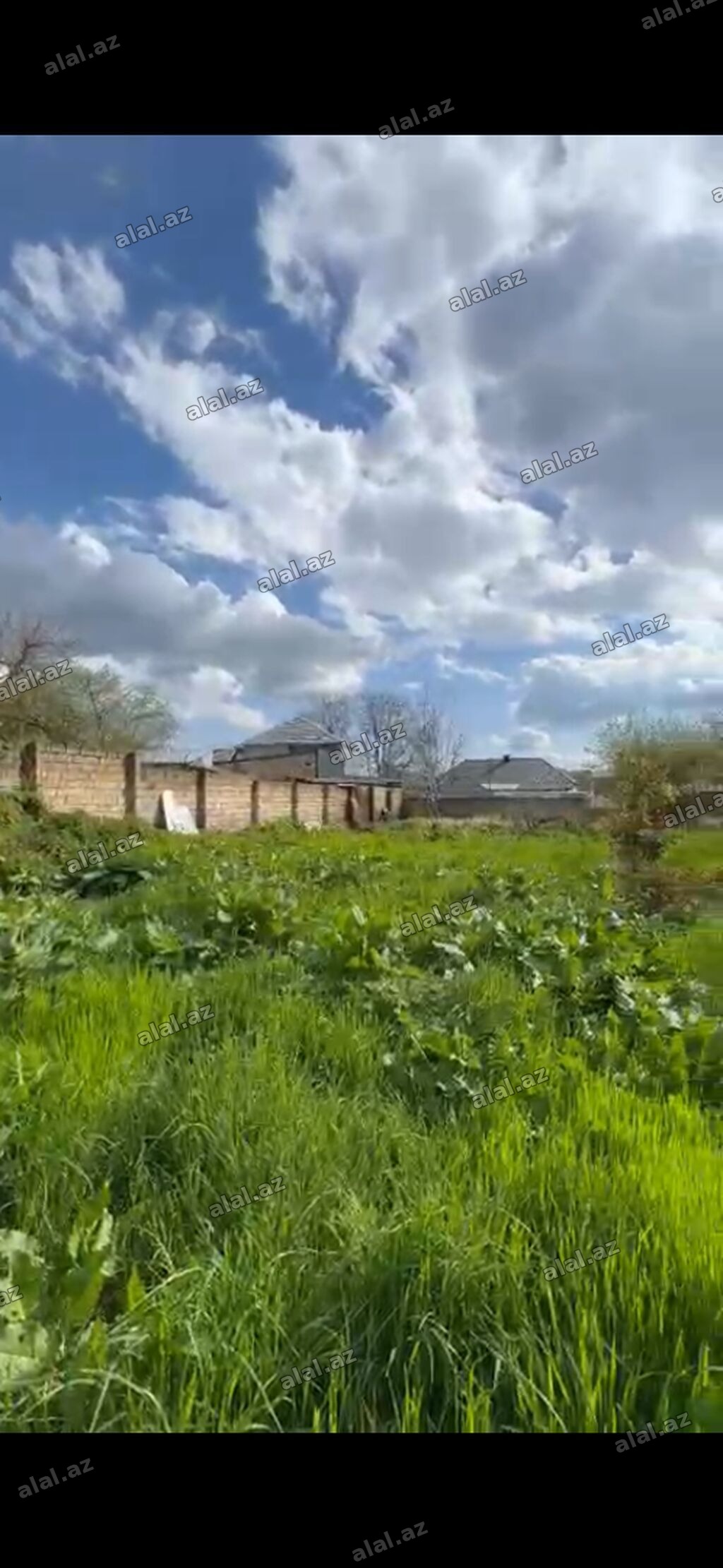 10 sot, Mülkiyyətçi, Kupça (Çıxarış)