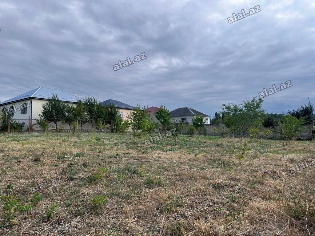 16 sot, Tikinti, Mülkiyyətçi, Kupça (Çıxarış)
