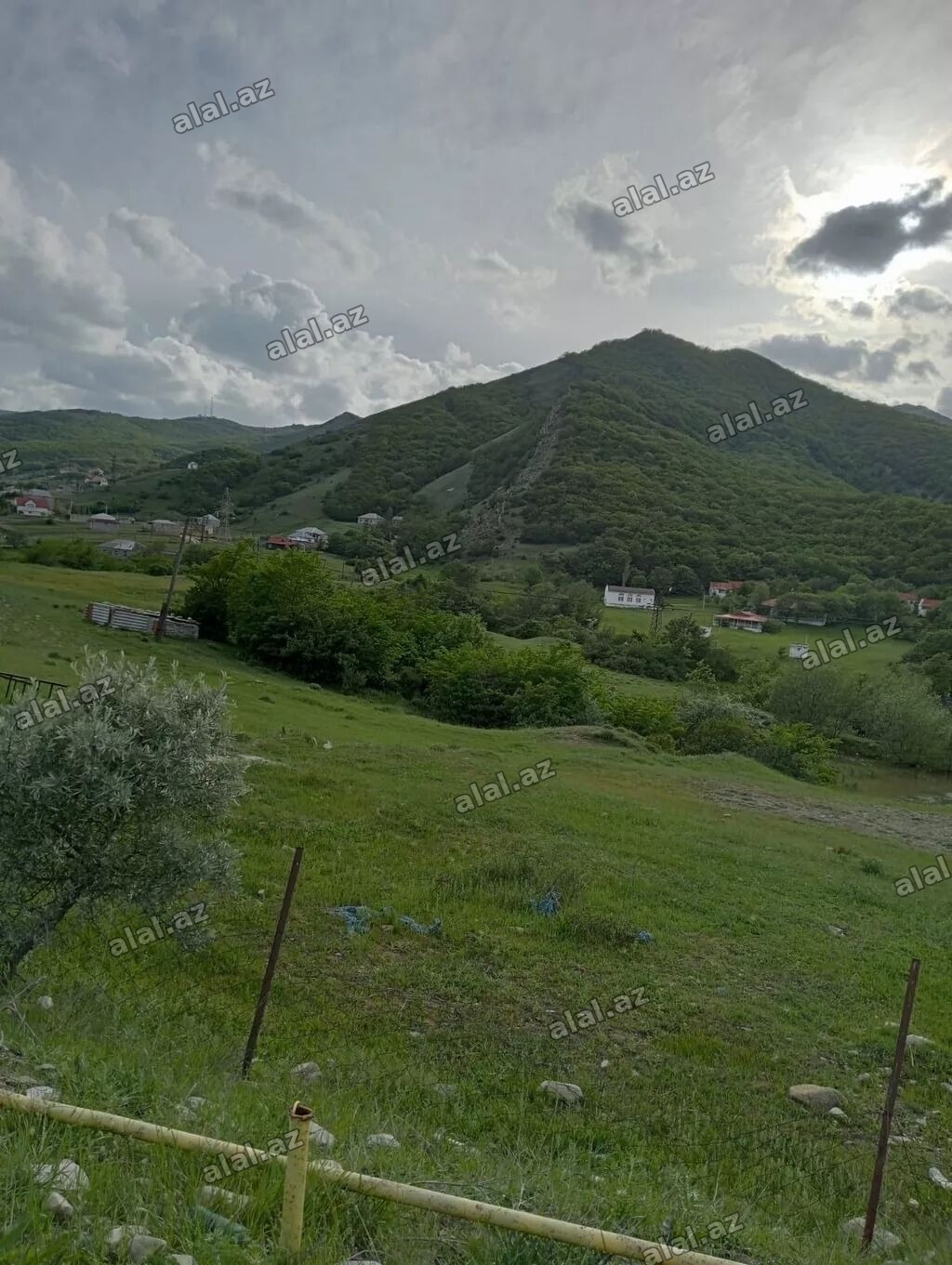 350 sot, Kənd təsərrüfatı, Makler, Kupça (Çıxarış)