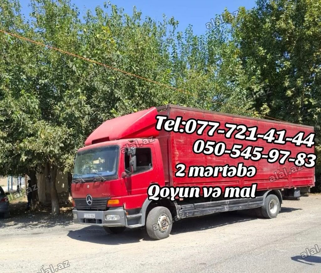Yükdaşıma xidməti – Mercedes-Benz Atego maşını ilə - Daşıma növü