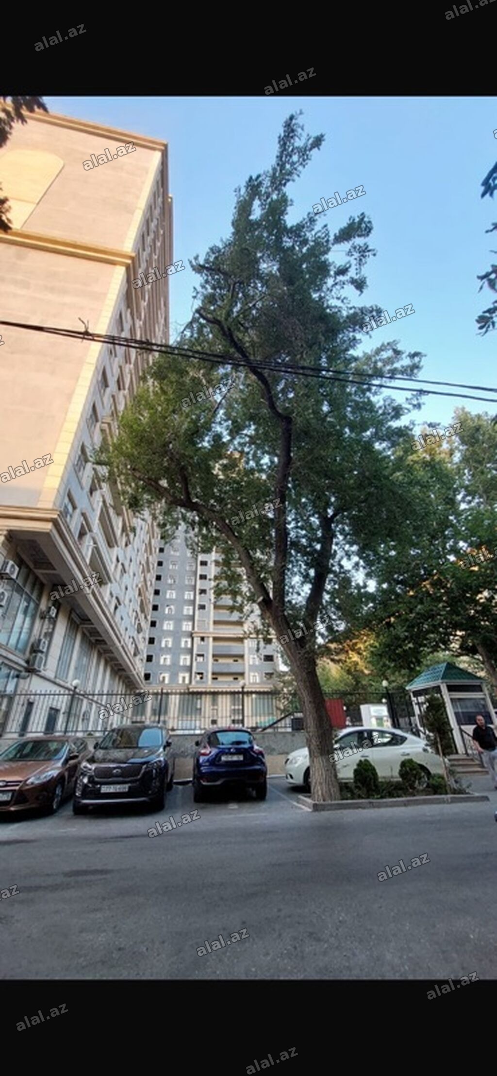 Obyekt təcili icarəyə verilir ! Qiyməti : 700 AzN. Gənclik metrosu
