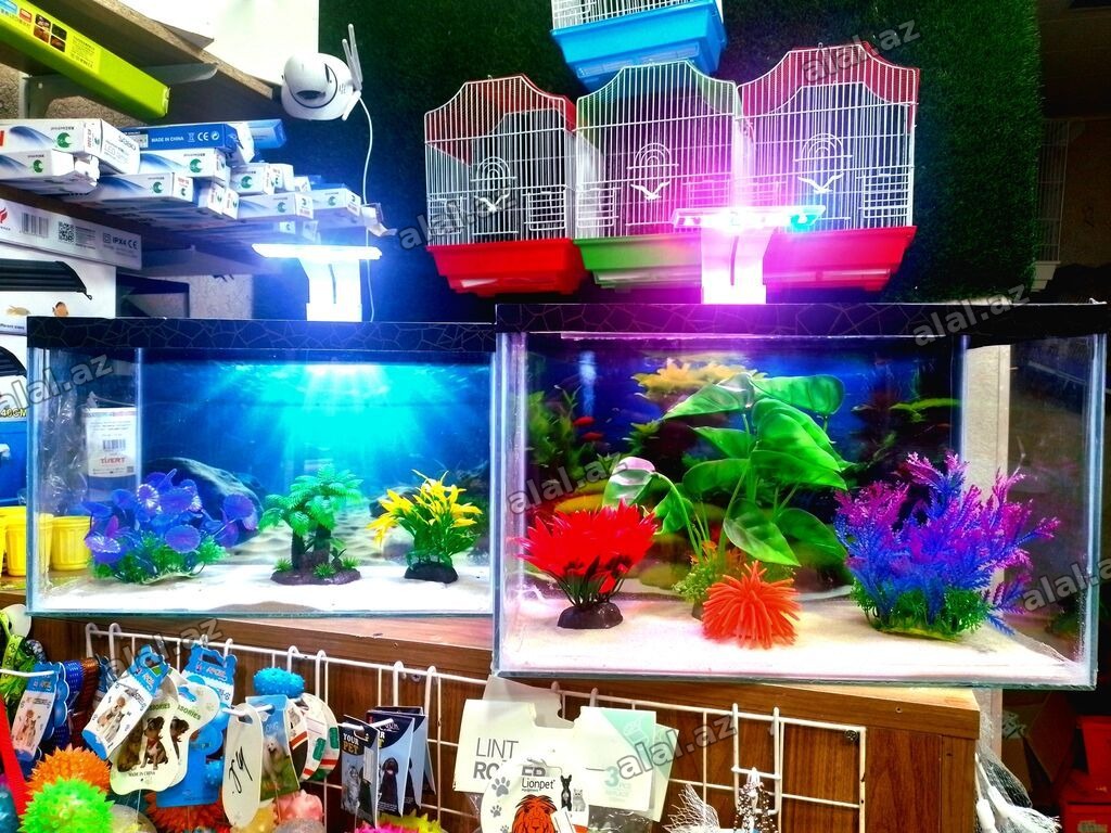 Dördbucaq akvarium, Balıqlarla birlikdə, 18 l, Ünvandan götürmə, Pulsuz çatdırıl