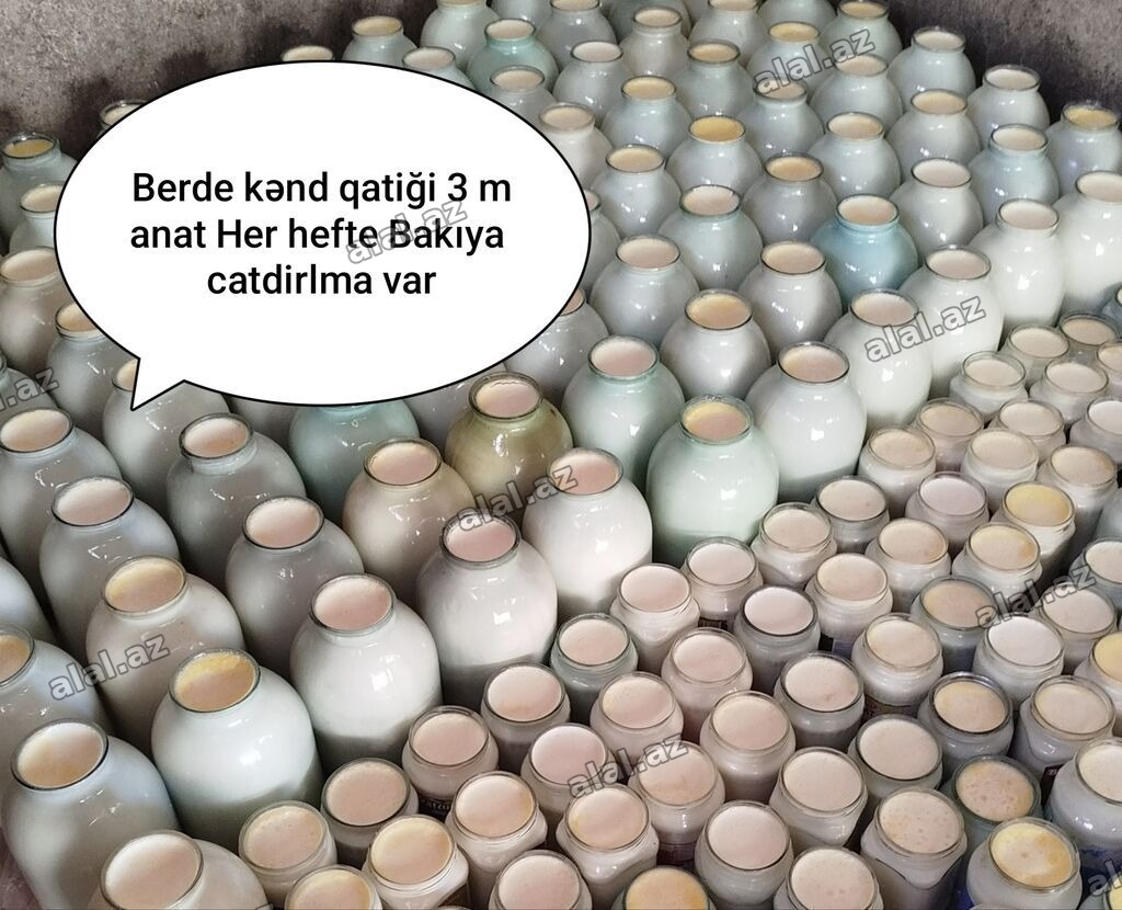 Bərdə kənd qatığı – təbii süd mayası ilə hazırlanır, şüşə bankalarda