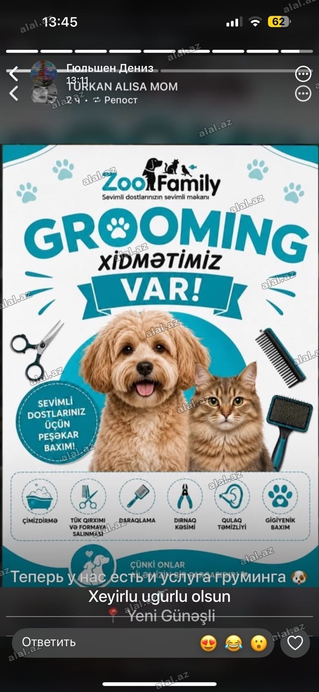 ZooFamily – itlərin və pişiklərin peşəkar grooming xidməti -
