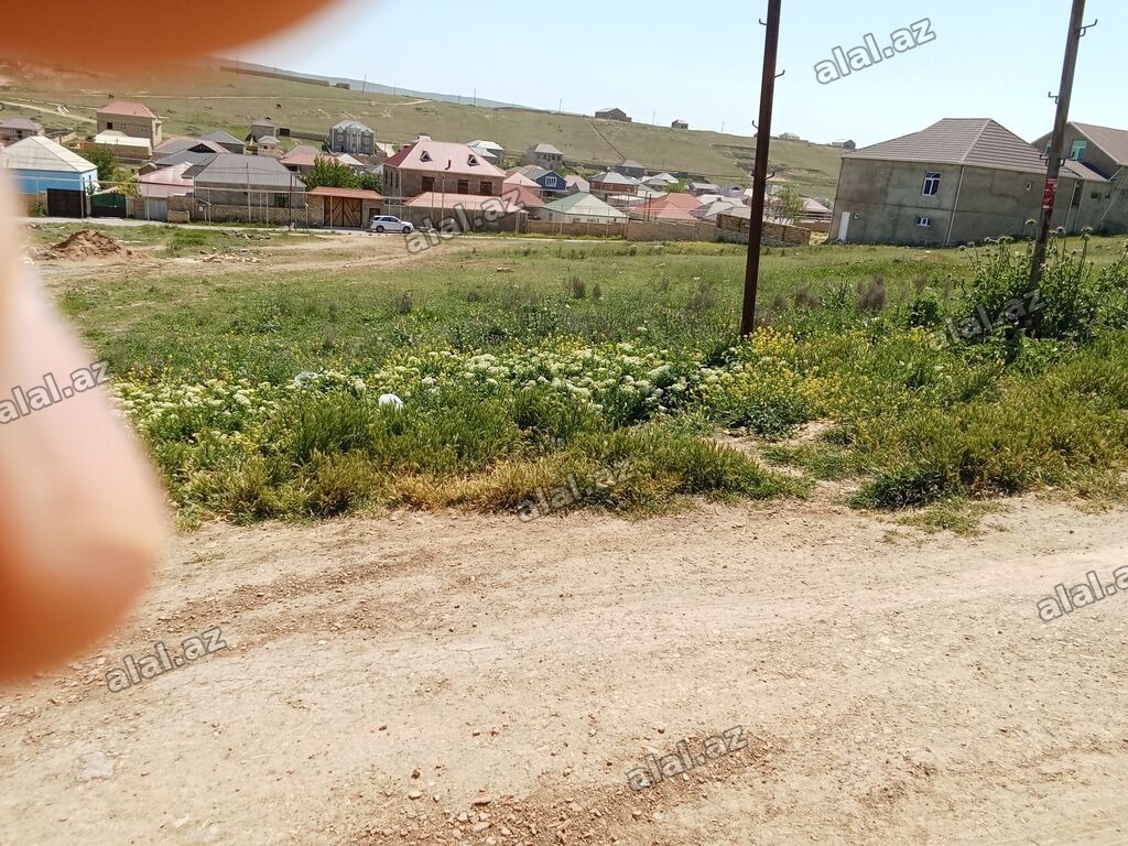 8 sot, Tikinti, Kupça (Çıxarış)