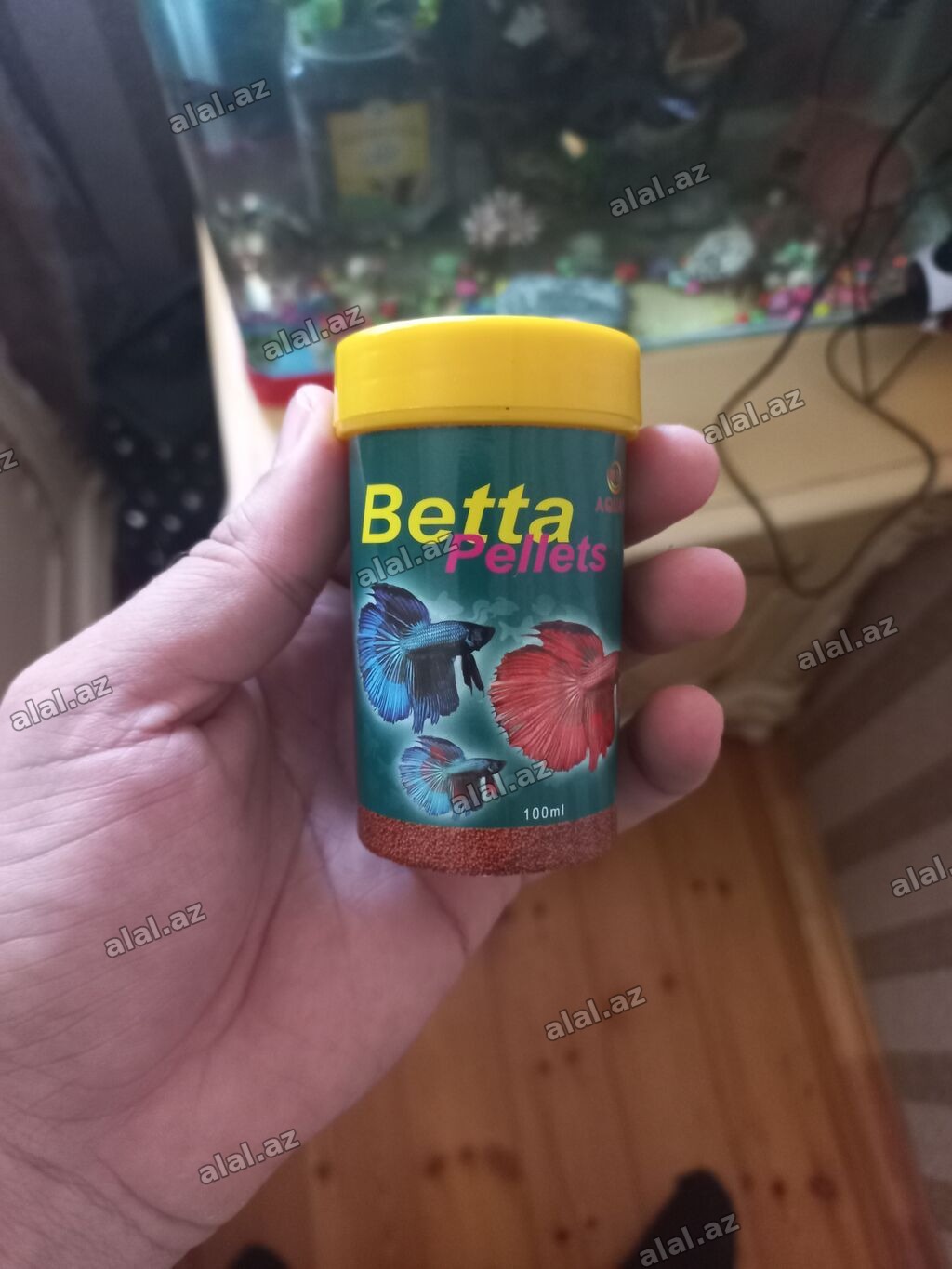 Betta Pellets – betta (siam döyüşkən) balıqları üçün qranul yem. -