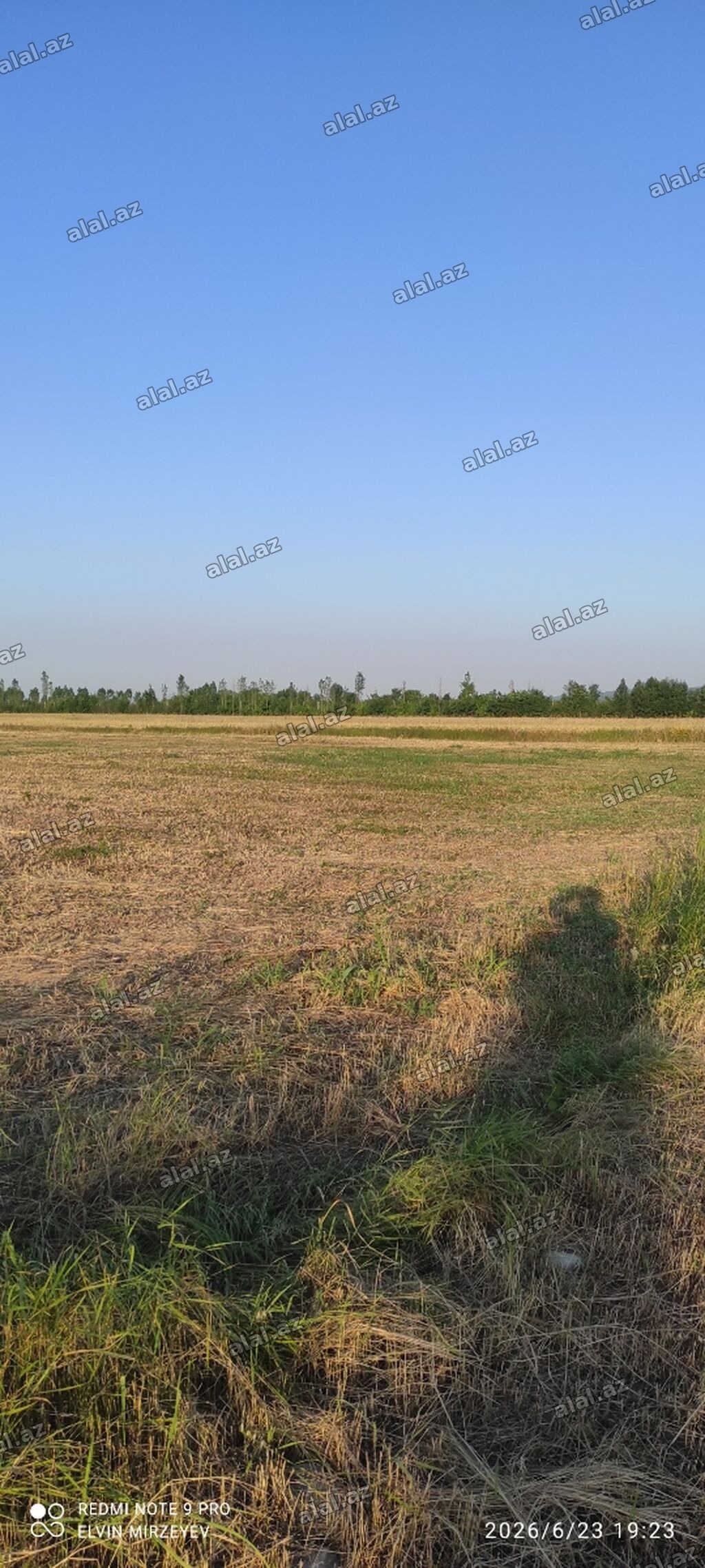 93 sot, Kənd təsərrüfatı, Mülkiyyətçi, Kupça (Çıxarış)
