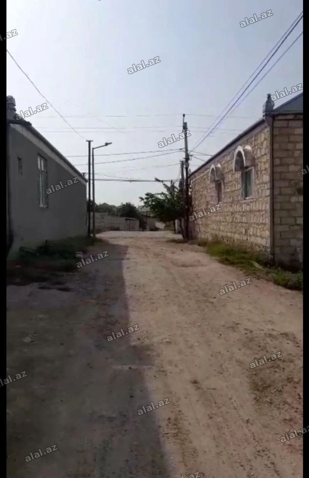 Tikinti