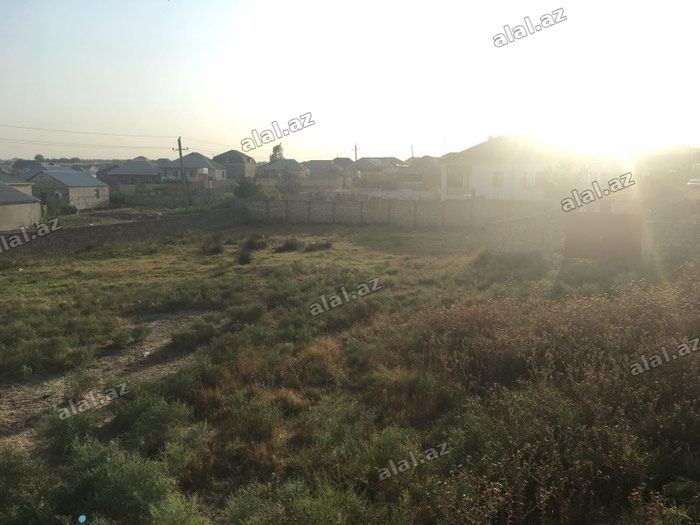 10 sot, Tikinti, Mülkiyyətçi, Kupça (Çıxarış)