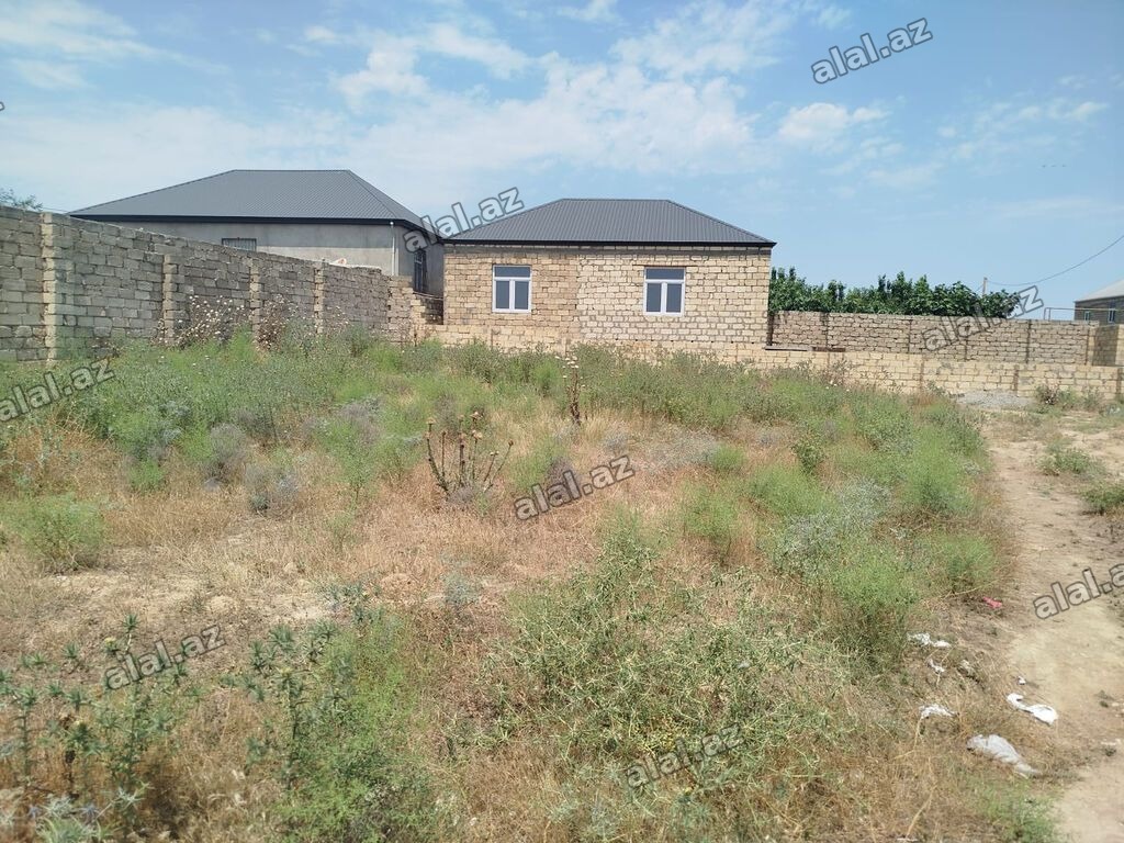 5 sot, Kupça (Çıxarış)