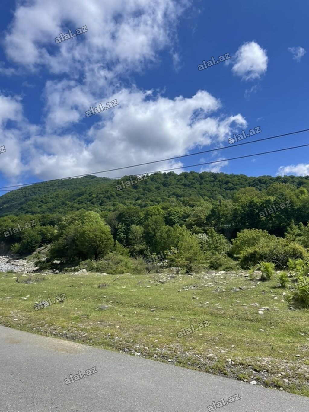 Tikinti, Mülkiyyətçi, Kupça (Çıxarış)