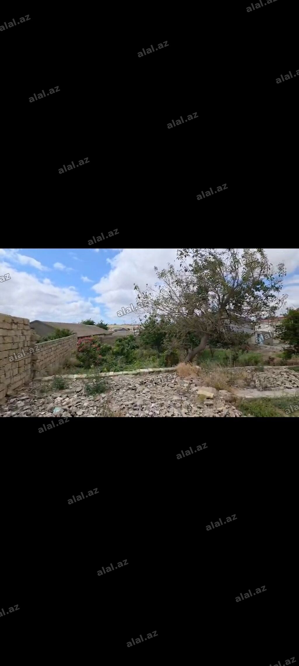 3 sot, Tikinti, Mülkiyyətçi, Kupça (Çıxarış)