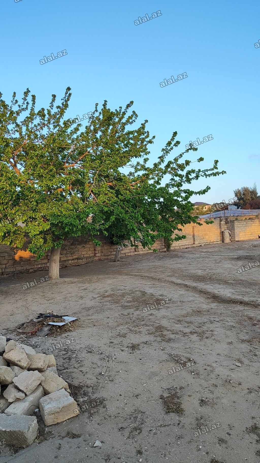 10 sot, Tikinti, Kupça (Çıxarış)