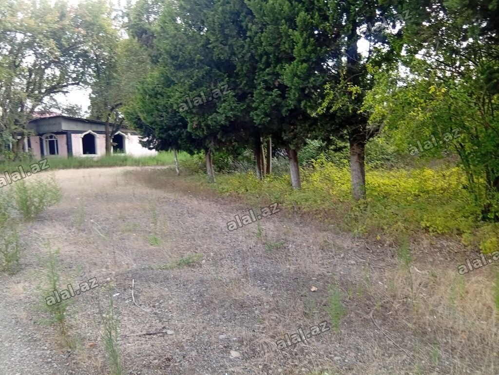 67 sot, Tikinti, Mülkiyyətçi, Kupça (Çıxarış)