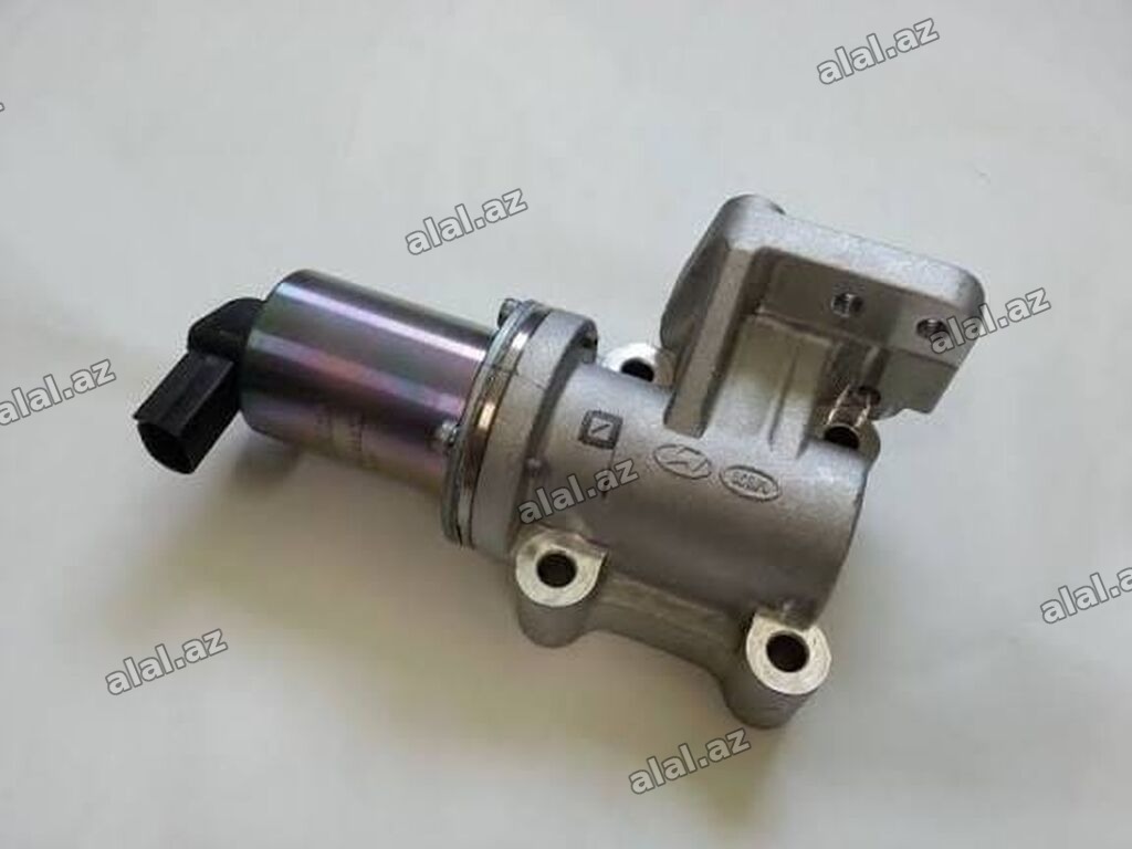 Hyundai-Kia üçün Egr