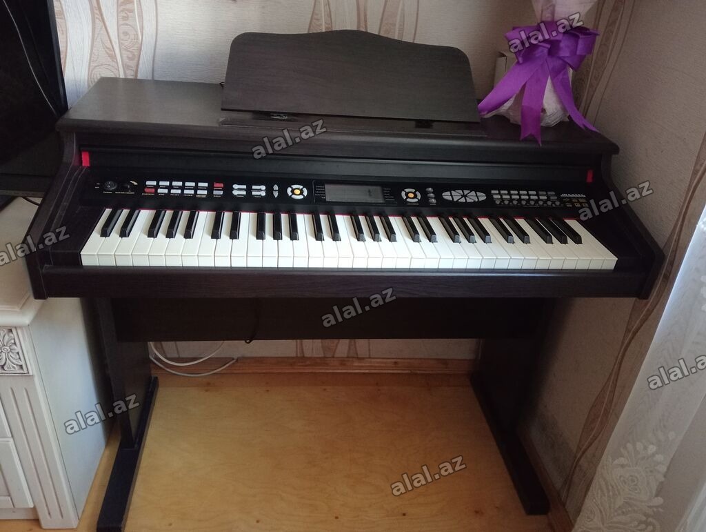Rəqəmsal pianino – 61 klaviş, 
Pedal yoxdur. Pedalın qoşulma yeri var