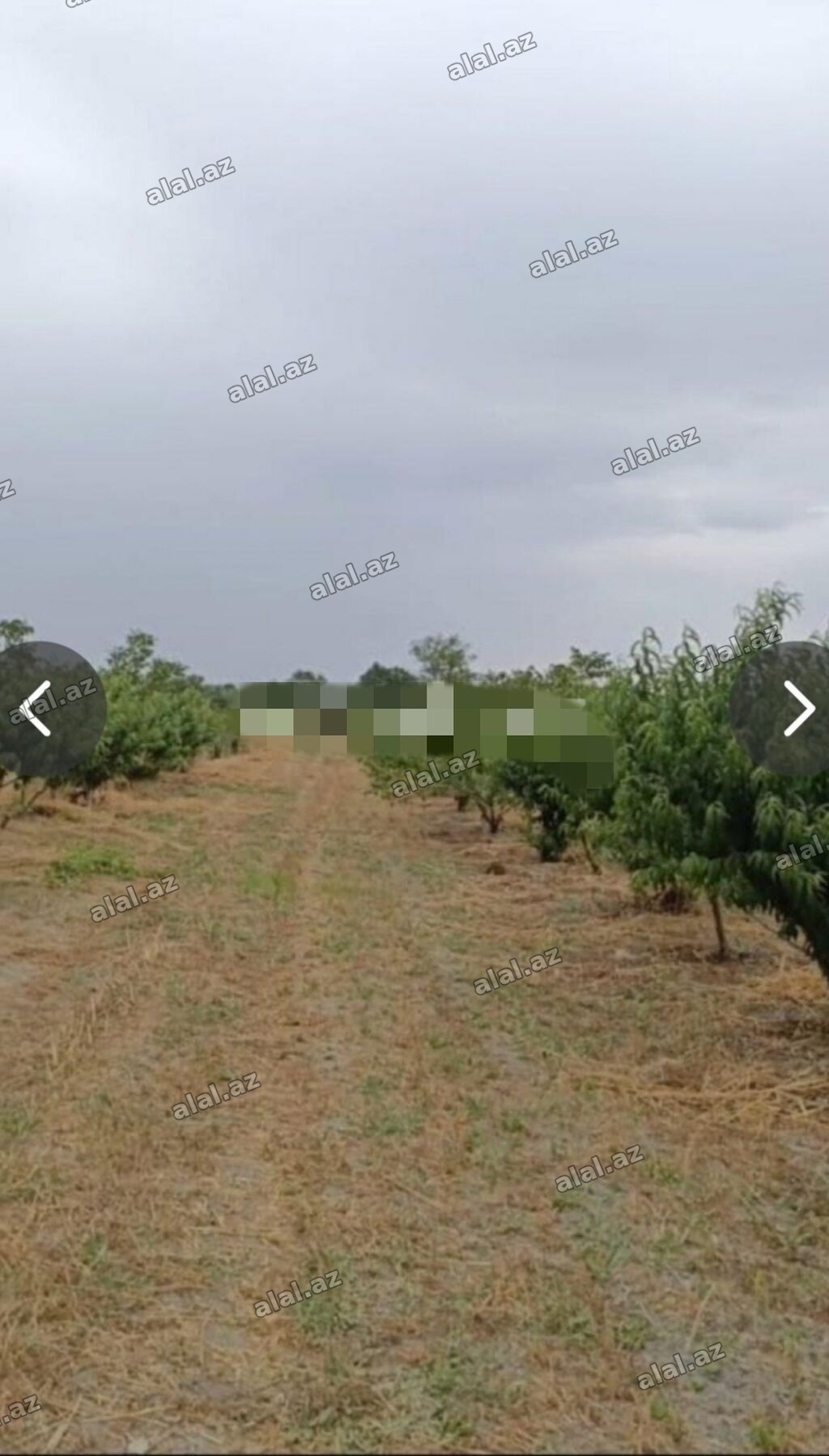 127 sot, Kənd təsərrüfatı, Mülkiyyətçi, Kupça (Çıxarış), Texniki pasport