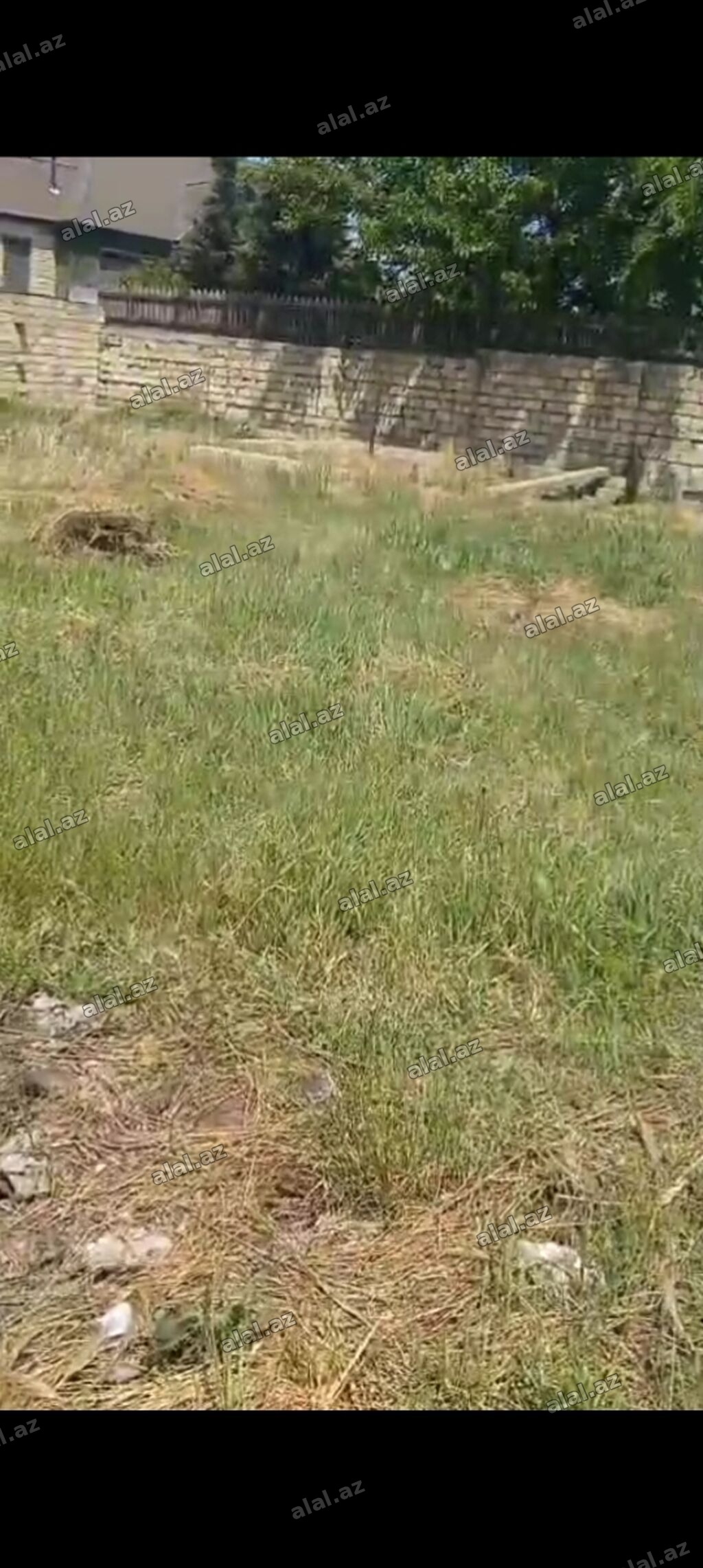 30 sot, Tikinti, Mülkiyyətçi, Kupça (Çıxarış)
