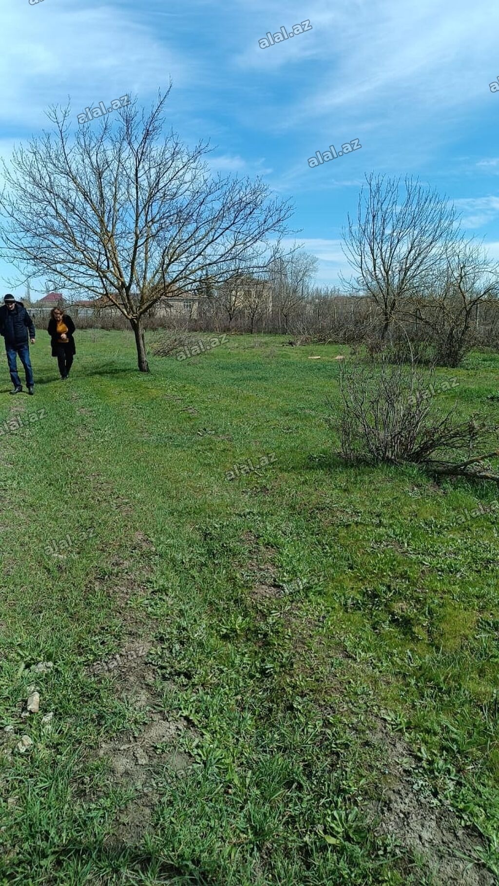 10 sot, Biznes üçün, Mülkiyyətçi, Kupça (Çıxarış)
