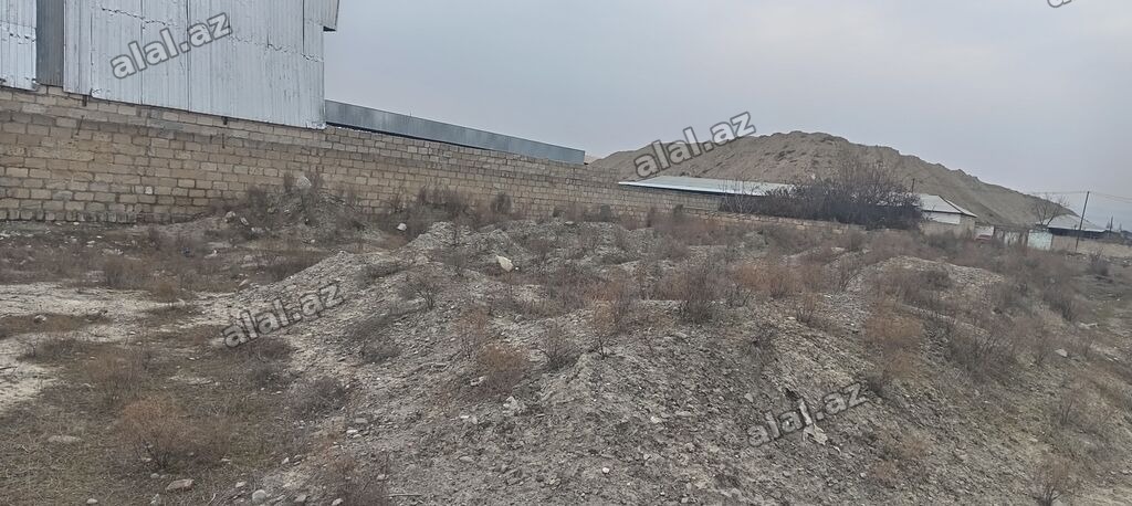 6 sot, Tikinti, Mülkiyyətçi, Kupça (Çıxarış)