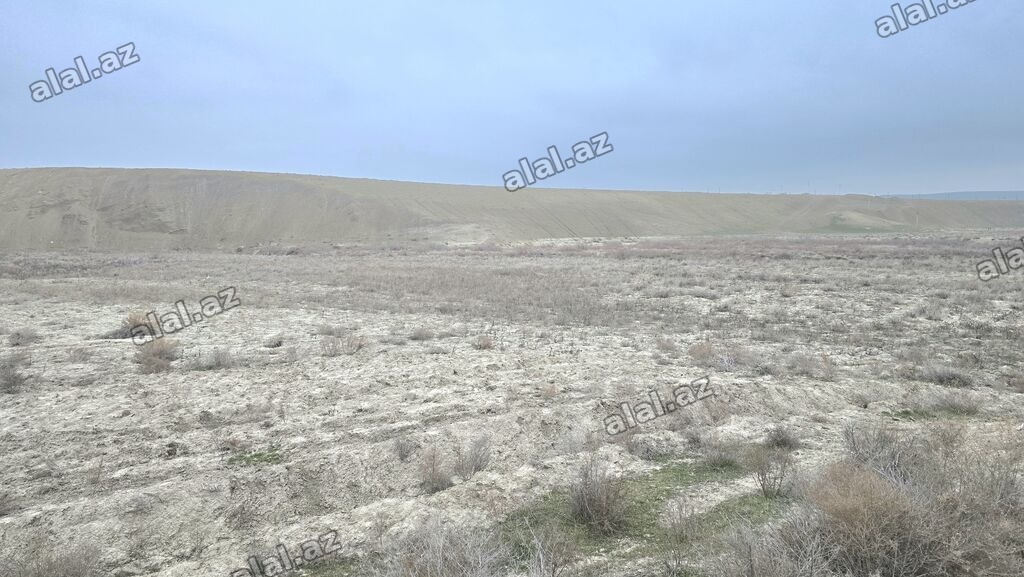 506 sot, Kənd təsərrüfatı, Kupça (Çıxarış)