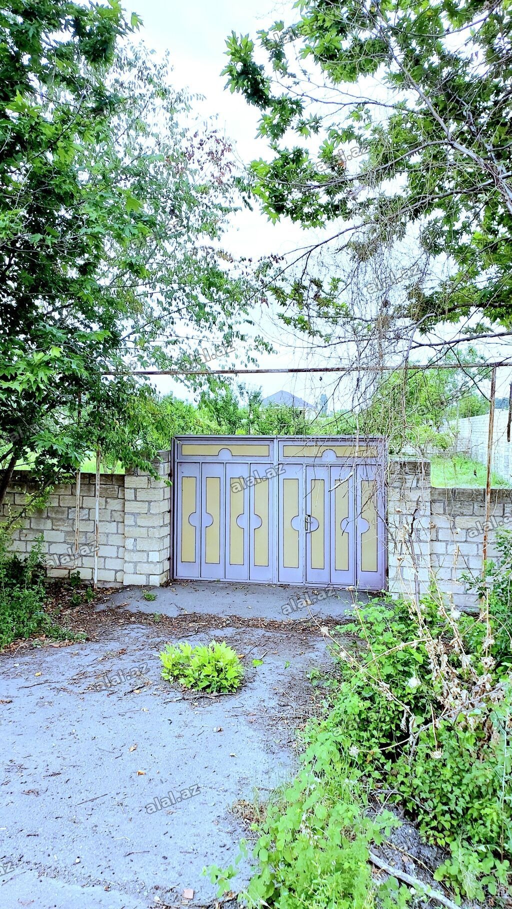 24 sot, Tikinti, Mülkiyyətçi, Kupça (Çıxarış)