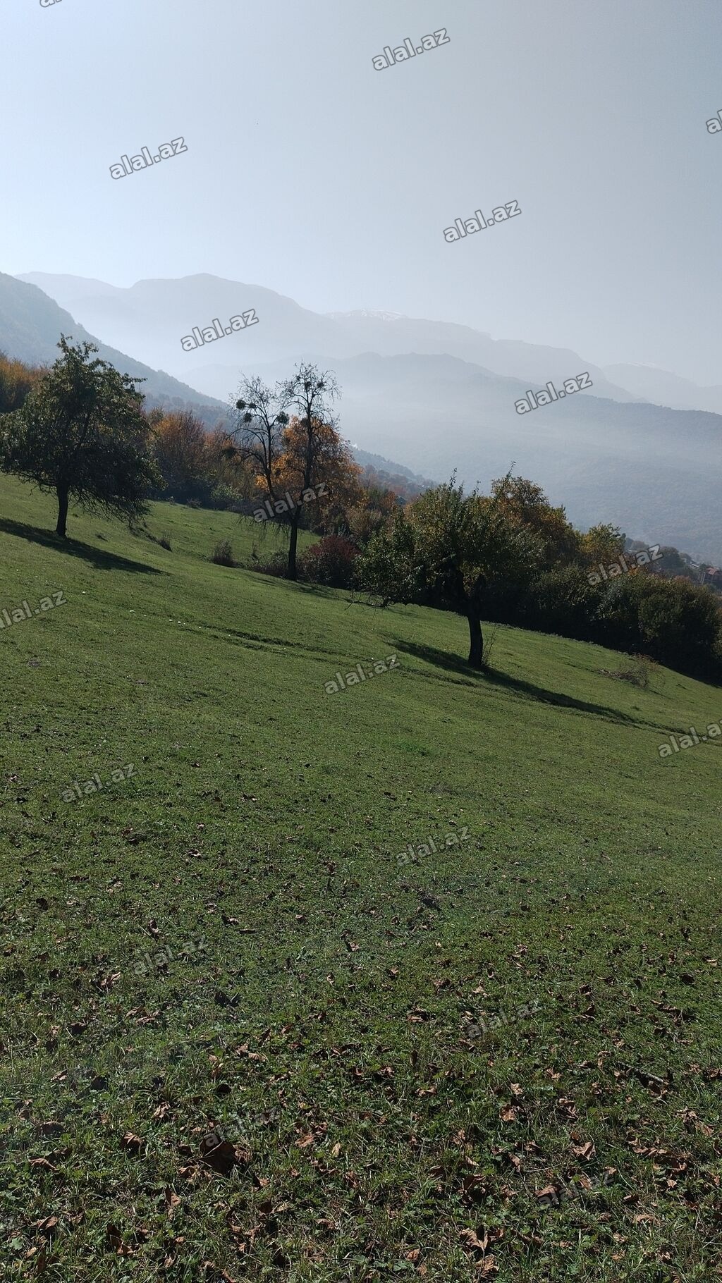 77 sot, Kənd təsərrüfatı, Mülkiyyətçi, Kupça (Çıxarış)