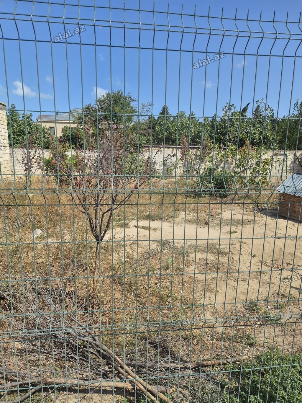 3 sot, Tikinti, Mülkiyyətçi, Kupça (Çıxarış), Texniki pasport