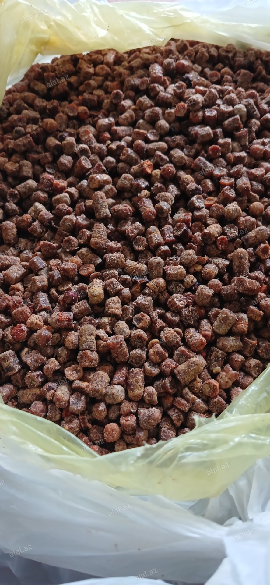 Güləm (arı çörəyi)