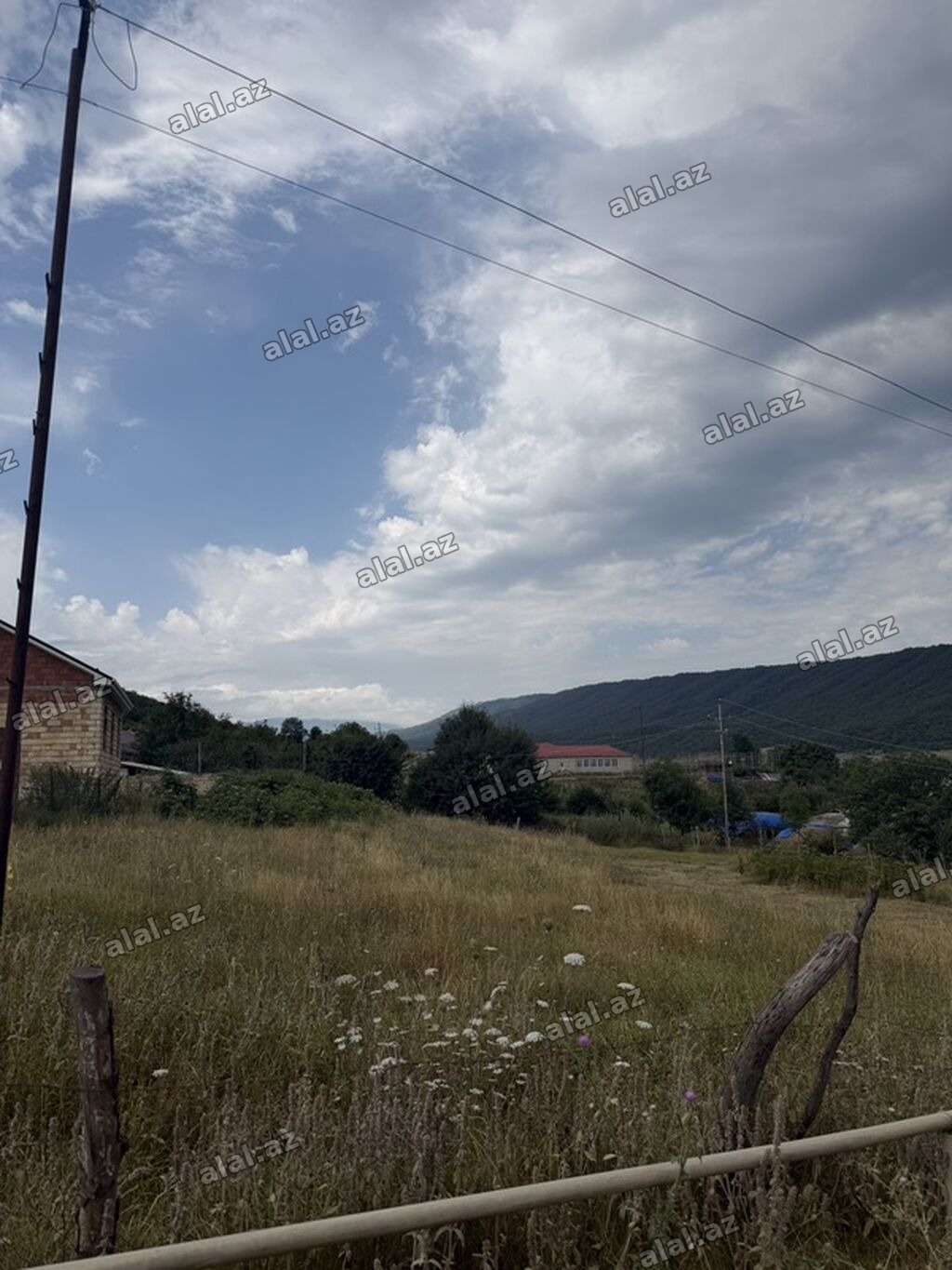 Tikinti