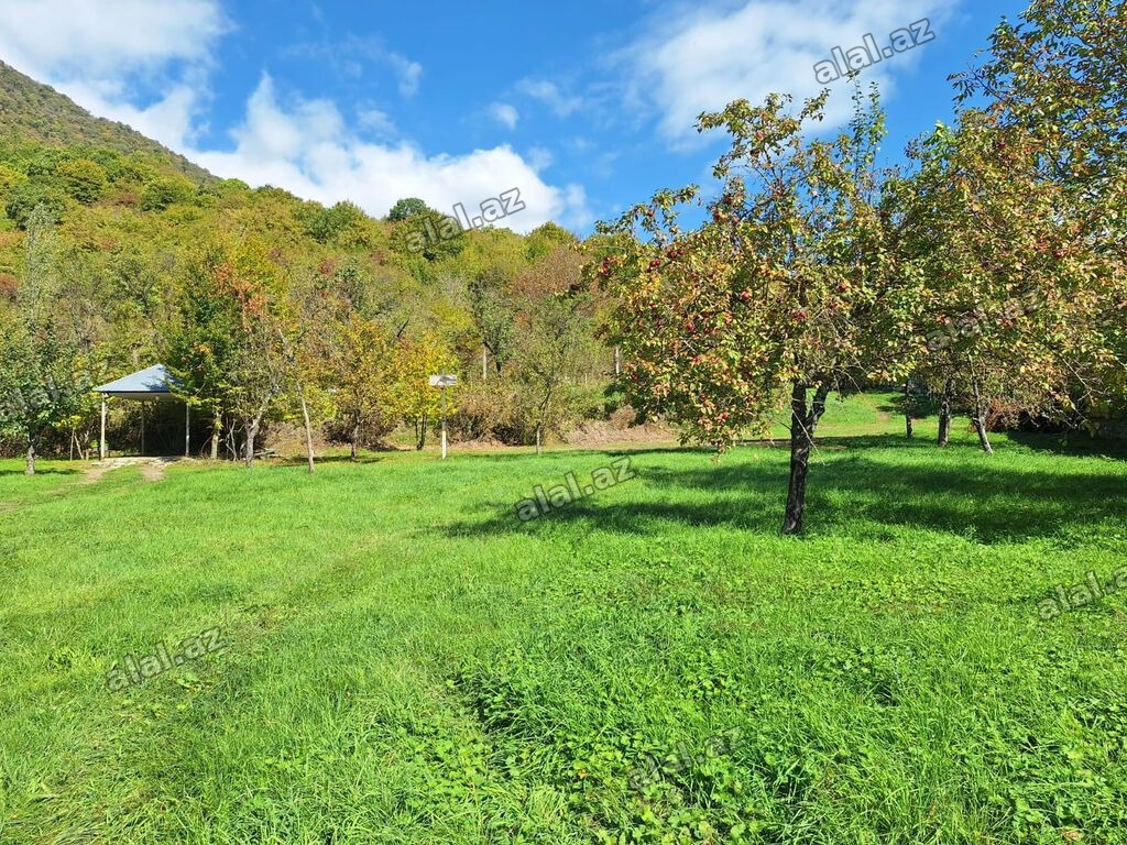10 sot, Tikinti, Kupça (Çıxarış)
